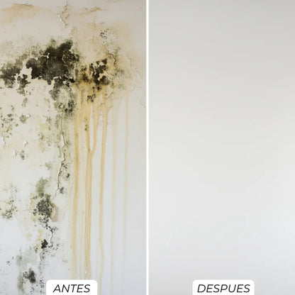 4 Litros Sellador Transparente Impermeabilizante | Humedex